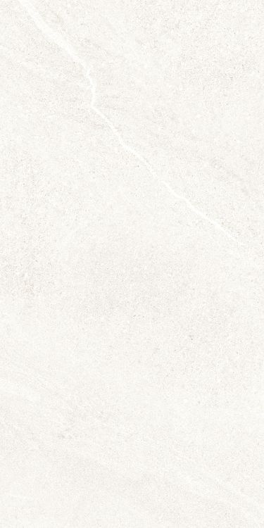 Dhara White Matte 12 x 24